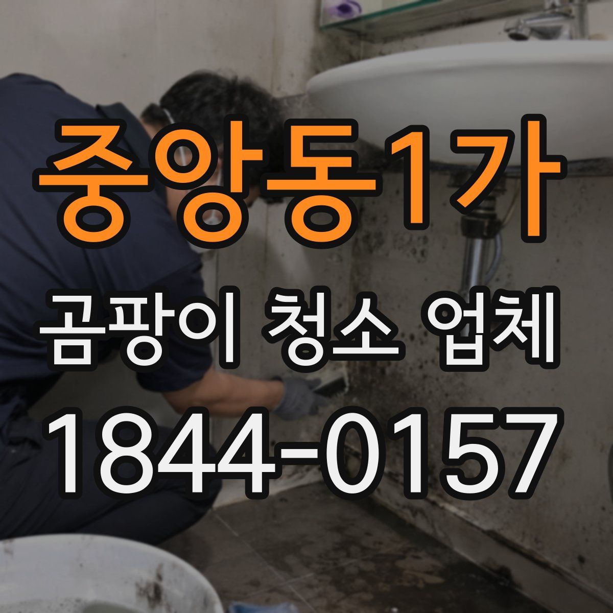 중앙동1가 곰팡이 청소 업체