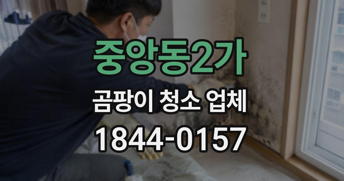 중앙동2가 곰팡이 청소 업체