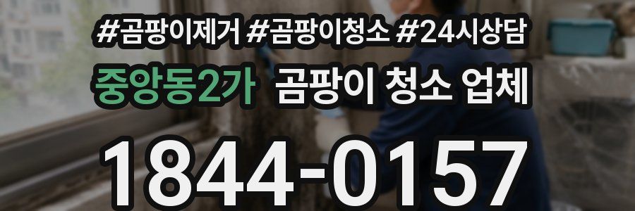 중앙동2가 곰팡이 청소 업체