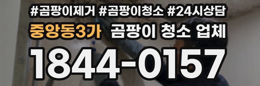 중앙동3가 곰팡이 청소 업체