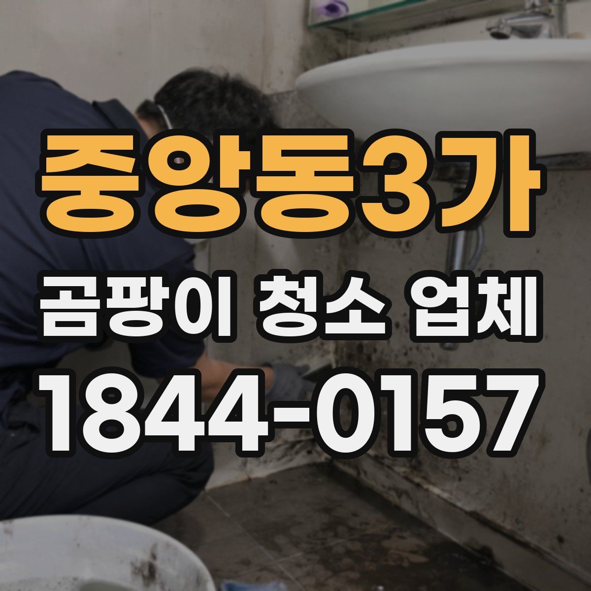 중앙동3가 곰팡이 청소 업체