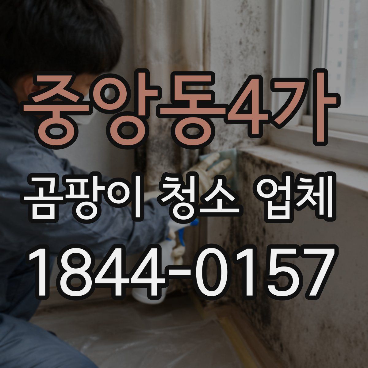 중앙동4가 곰팡이 청소 업체