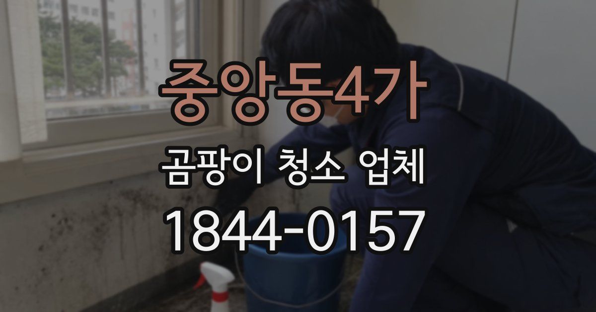 중앙동4가 곰팡이 청소 업체