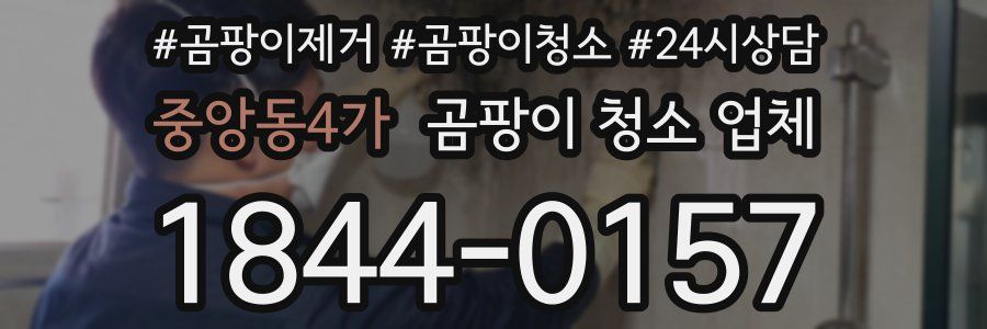 중앙동4가 곰팡이 청소 업체