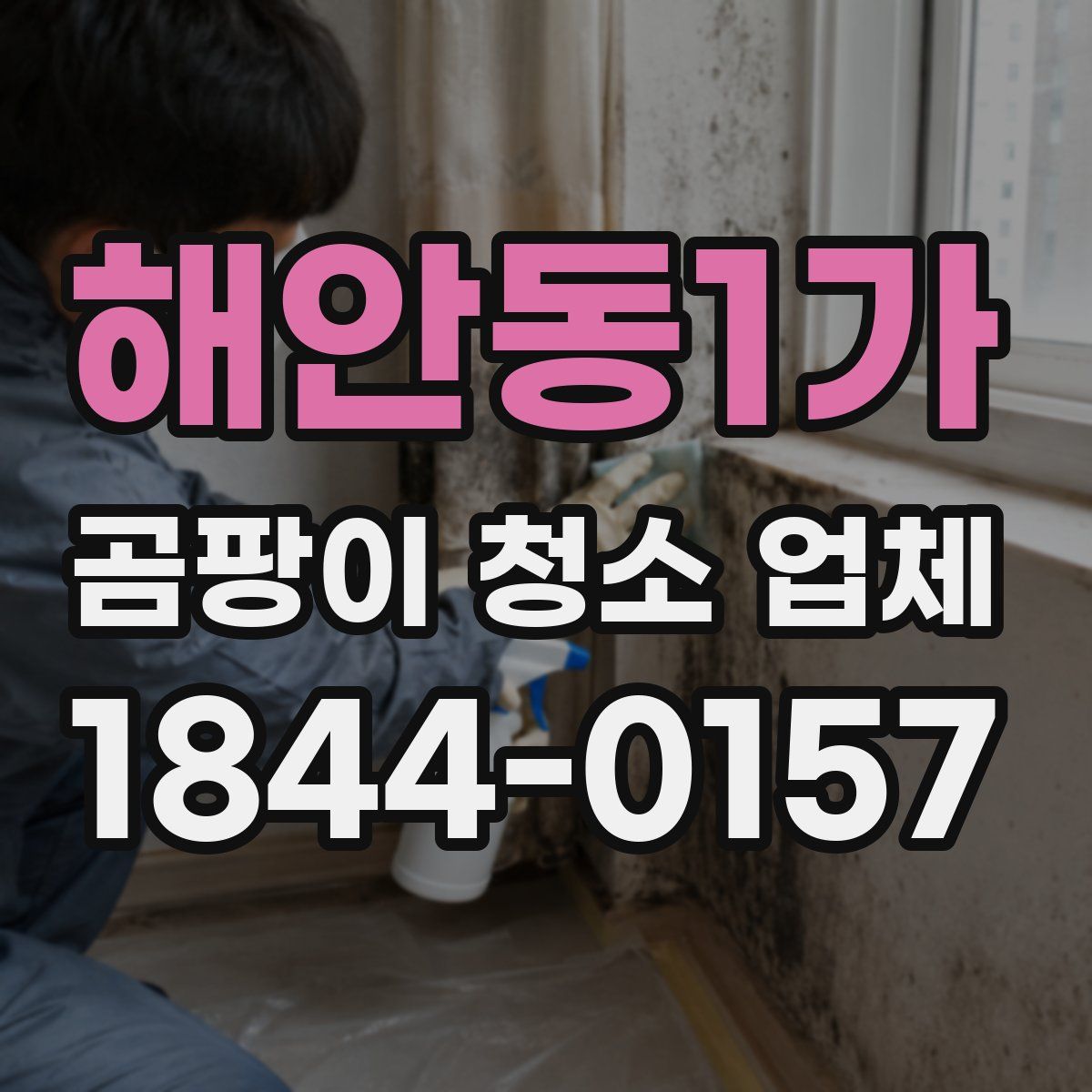 해안동1가 곰팡이 청소 업체