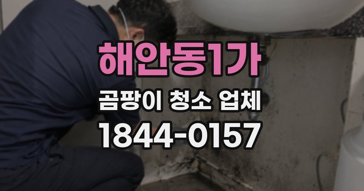 해안동1가 곰팡이 청소 업체