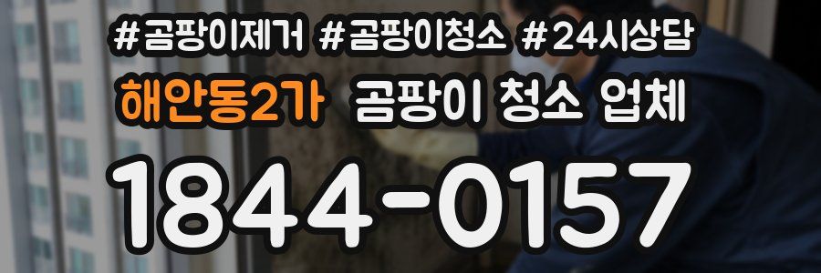 해안동2가 곰팡이 청소 업체