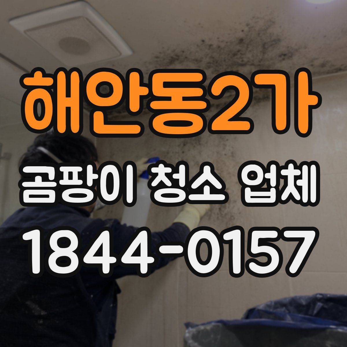 해안동2가 곰팡이 청소 업체