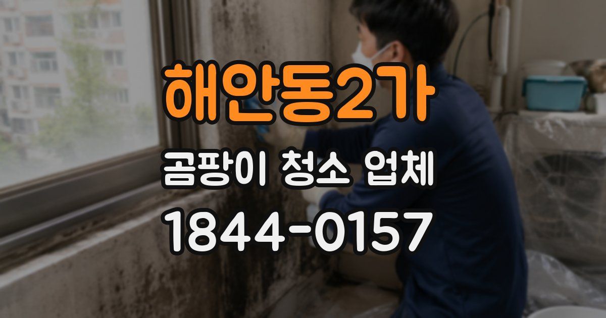 해안동2가 곰팡이 청소 업체