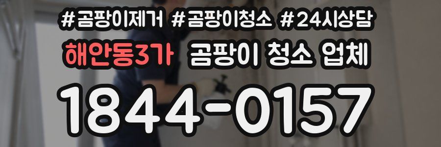 해안동3가 곰팡이 청소 업체