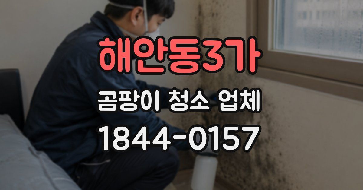 해안동3가 곰팡이 청소 업체