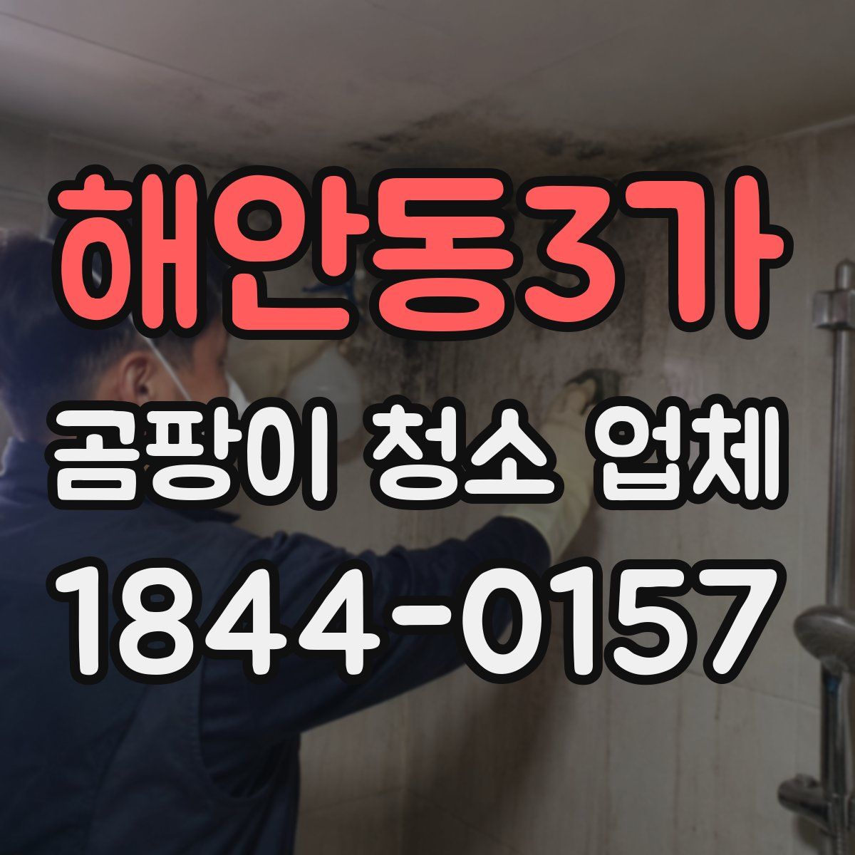 해안동3가 곰팡이 청소 업체