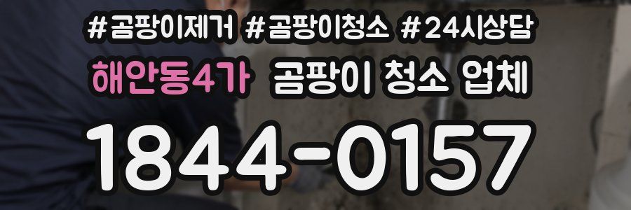 해안동4가 곰팡이 청소 업체