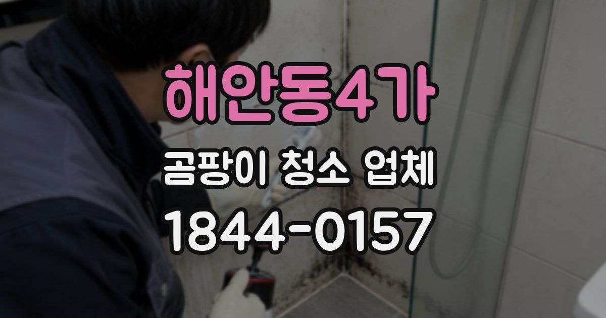 해안동4가 곰팡이 청소 업체