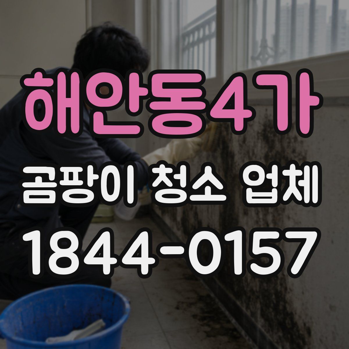 해안동4가 곰팡이 청소 업체