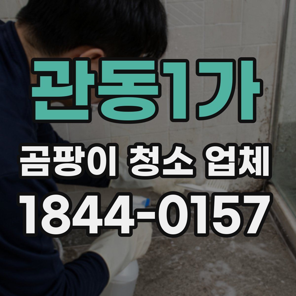 관동1가 곰팡이 청소 업체