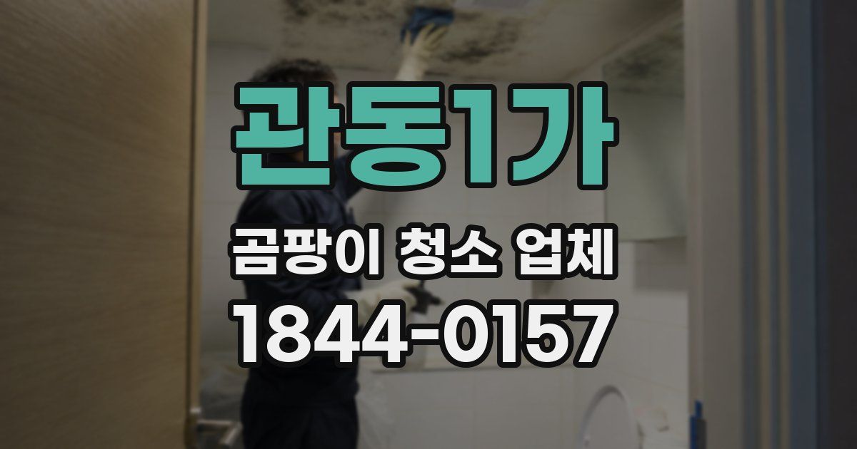 관동1가 곰팡이 청소 업체