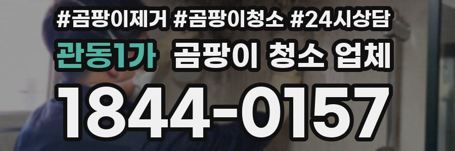 관동1가 곰팡이 청소 업체