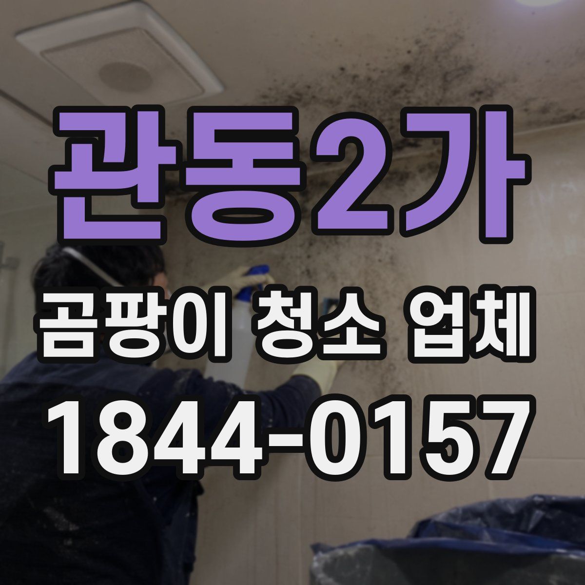 관동2가 곰팡이 청소 업체