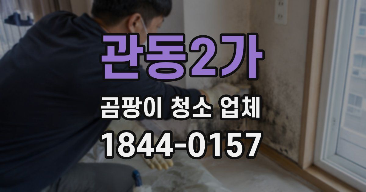 관동2가 곰팡이 청소 업체