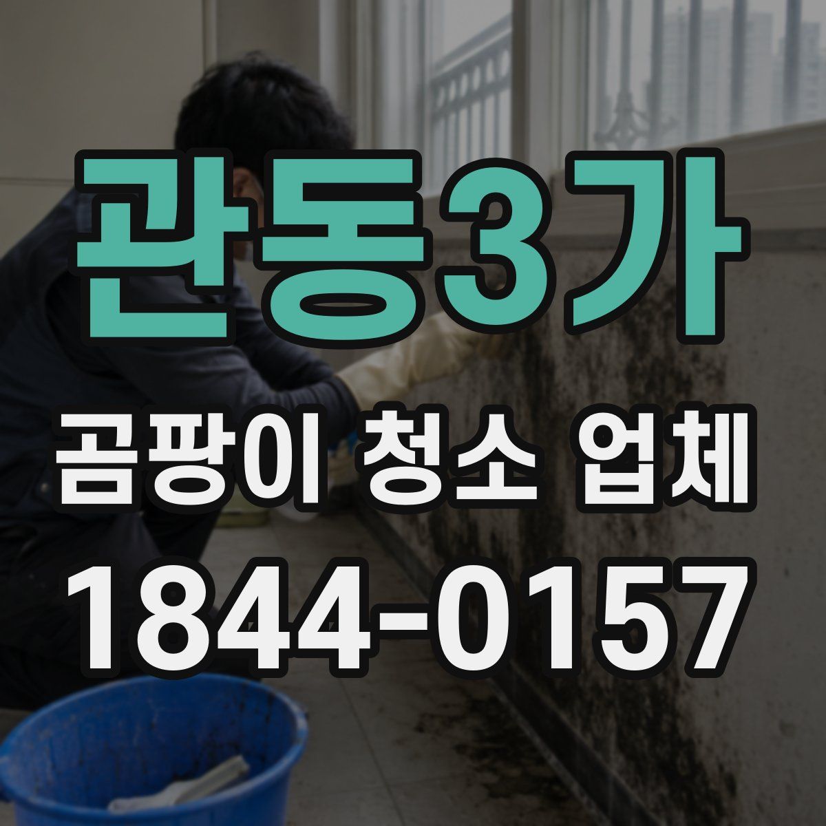 관동3가 곰팡이 청소 업체