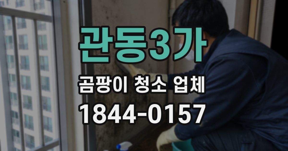 관동3가 곰팡이 청소 업체