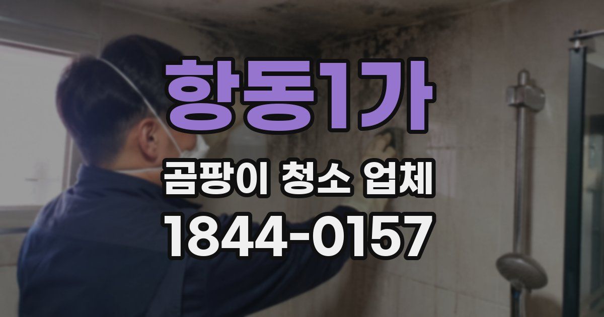 항동1가 곰팡이 청소 업체