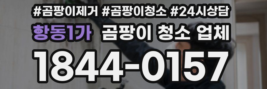 항동1가 곰팡이 청소 업체