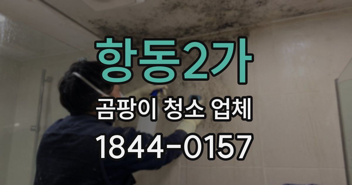 항동2가 곰팡이 청소 업체