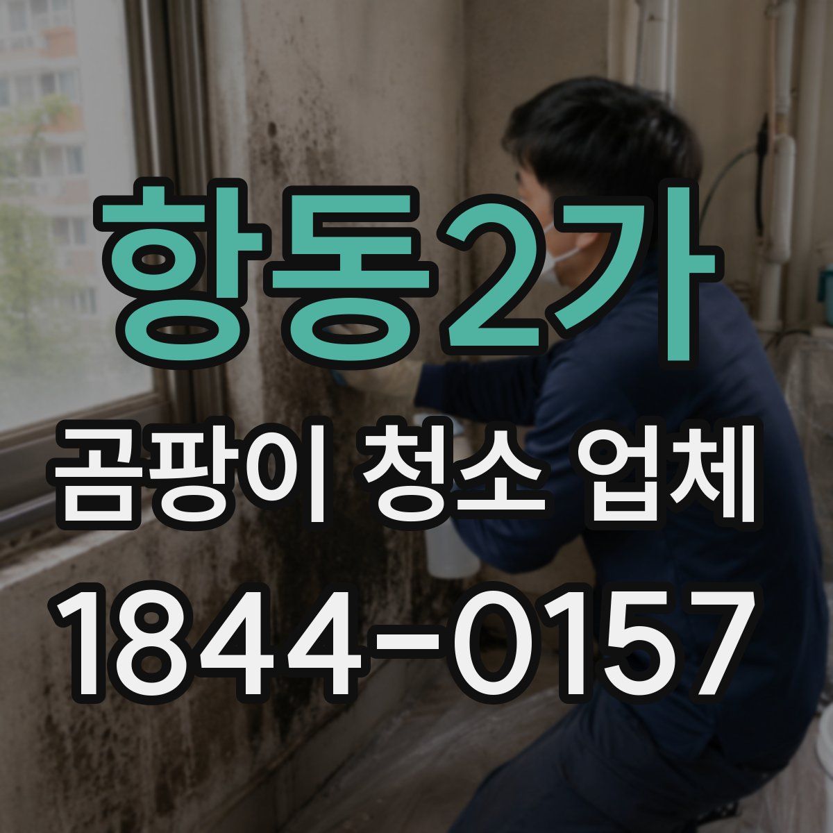 항동2가 곰팡이 청소 업체