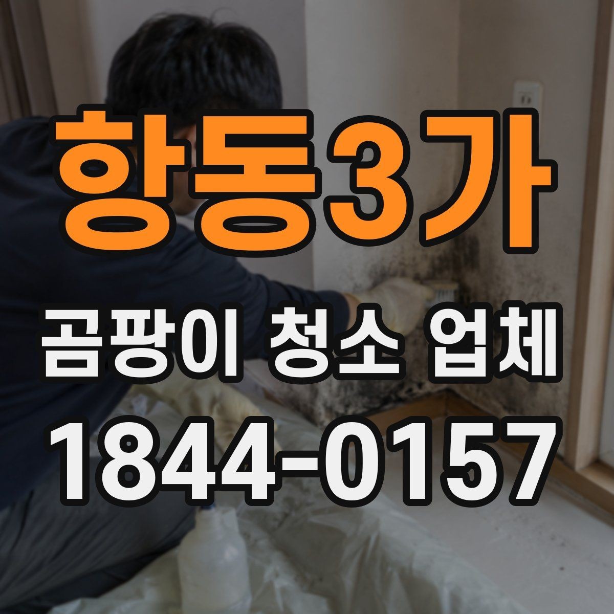 항동3가 곰팡이 청소 업체 작은 방과 넓은 공간 처리 차이