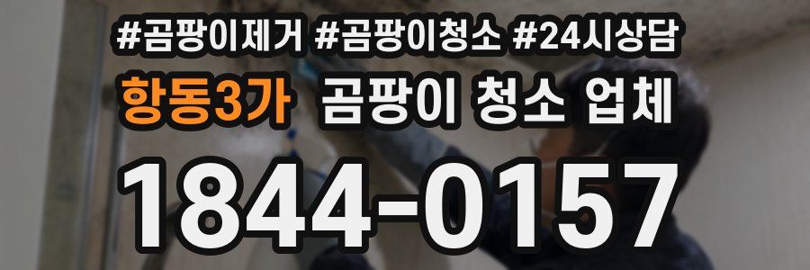 항동3가 곰팡이 청소 업체