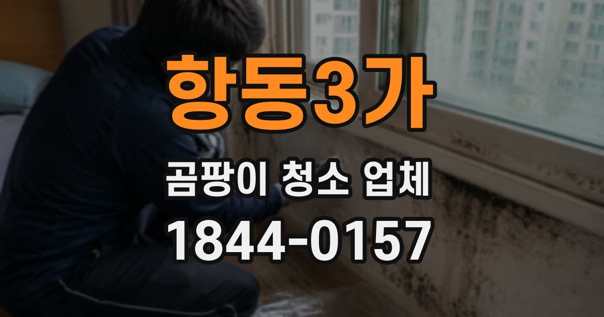 항동3가 곰팡이 청소 업체