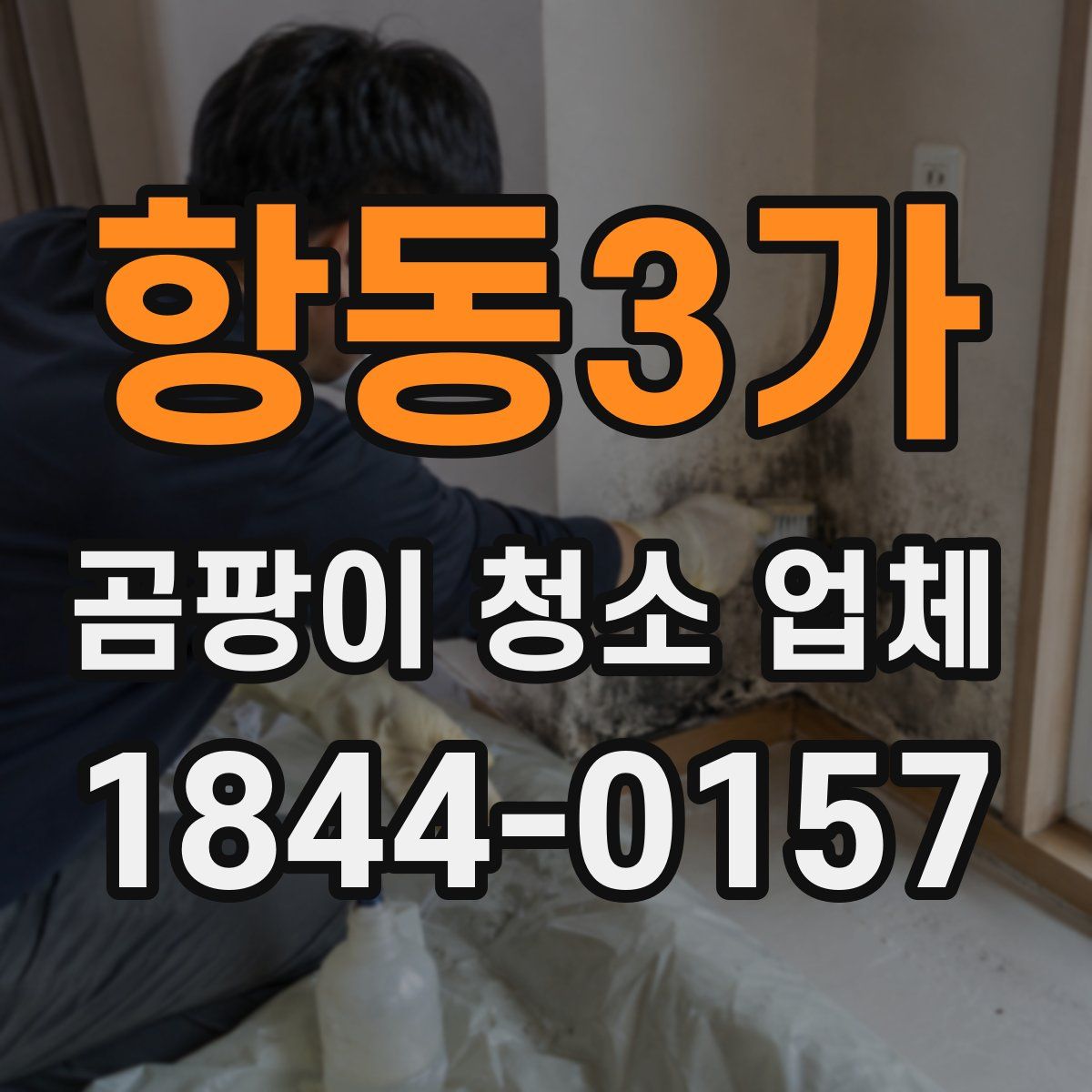 항동3가 곰팡이 청소 업체