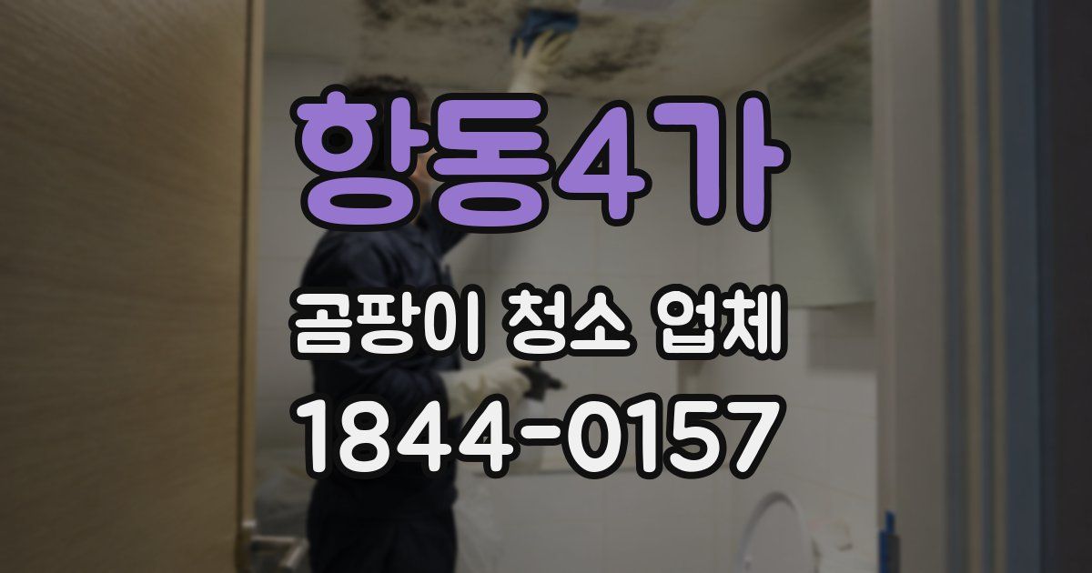 항동4가 곰팡이 청소 업체
