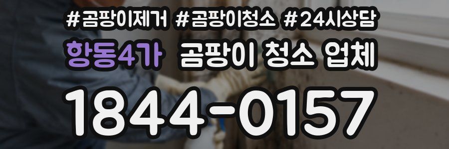 항동4가 곰팡이 청소 업체