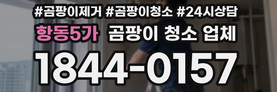 항동5가 곰팡이 청소 업체