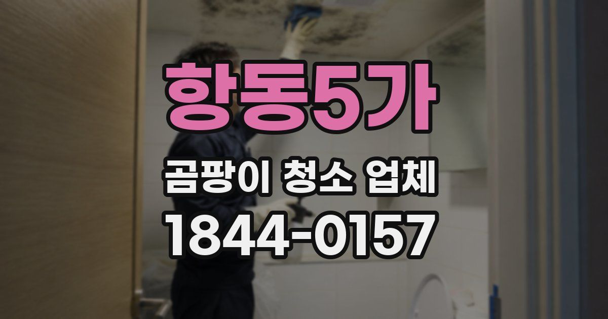 항동5가 곰팡이 청소 업체