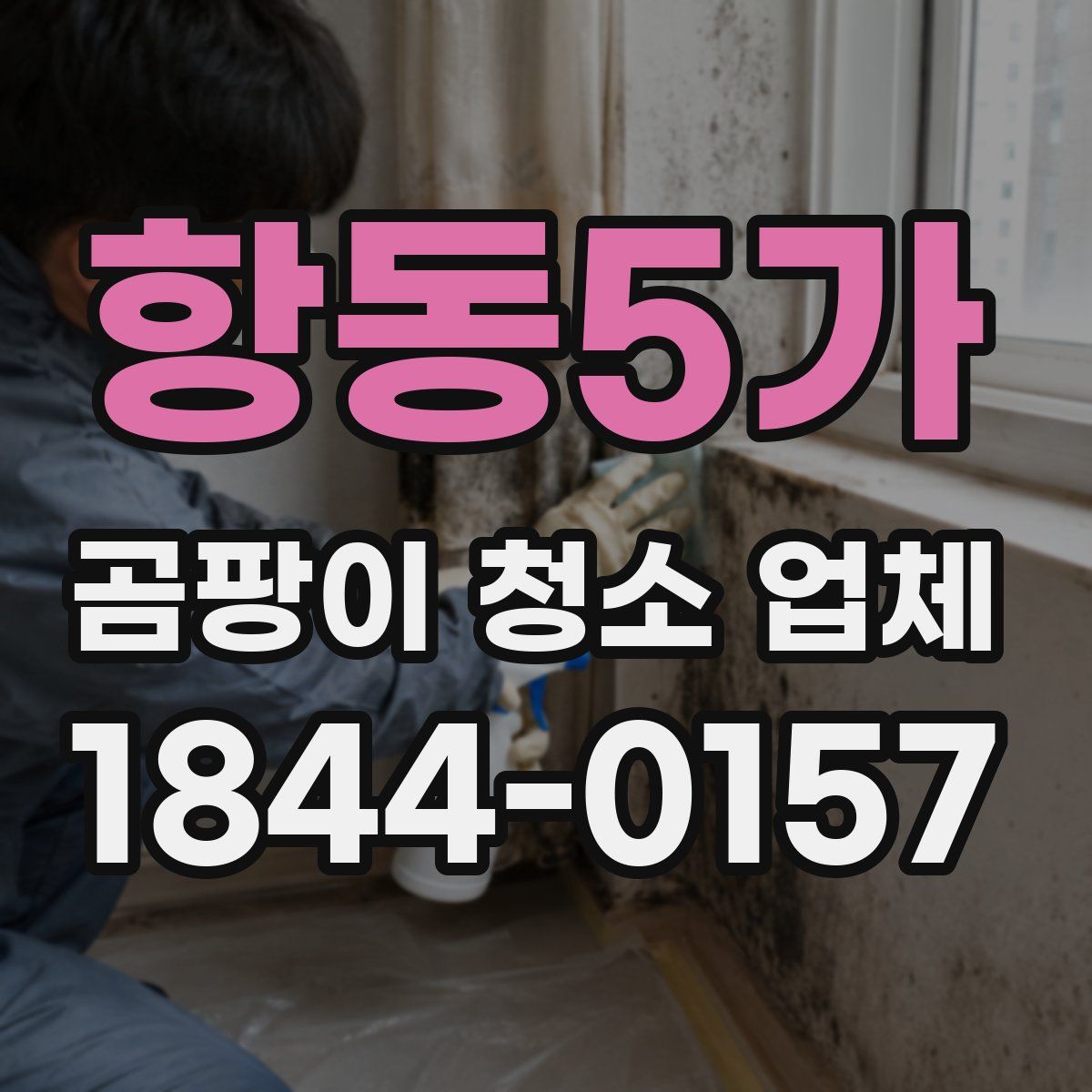 항동5가 곰팡이 청소 업체