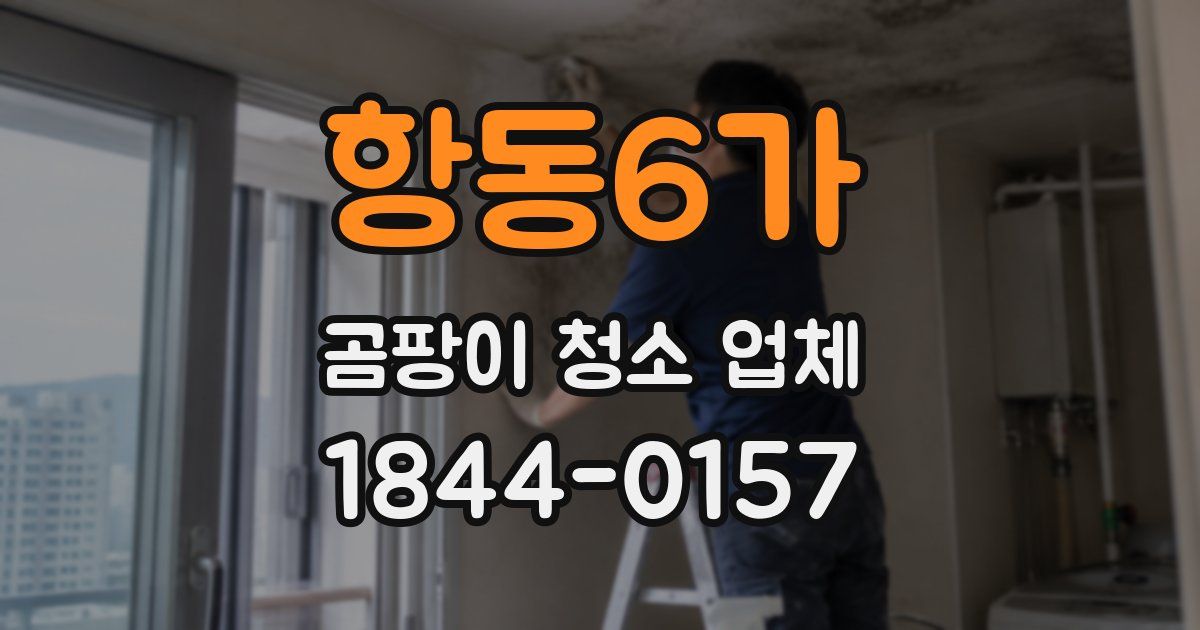 항동6가 곰팡이 청소 업체