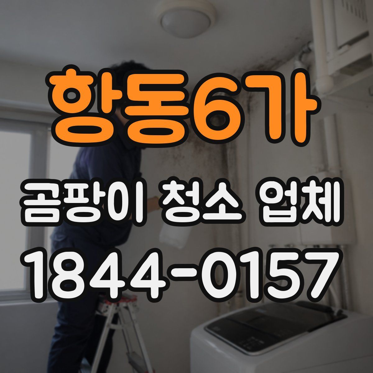 항동6가 곰팡이 청소 업체