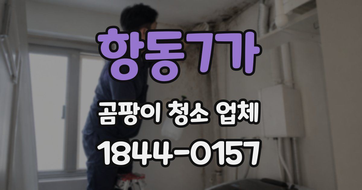 항동7가 곰팡이 청소 업체