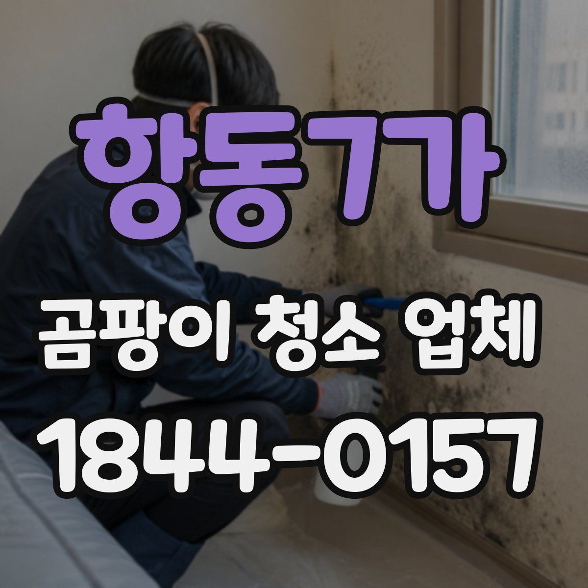 항동7가 곰팡이 청소 업체