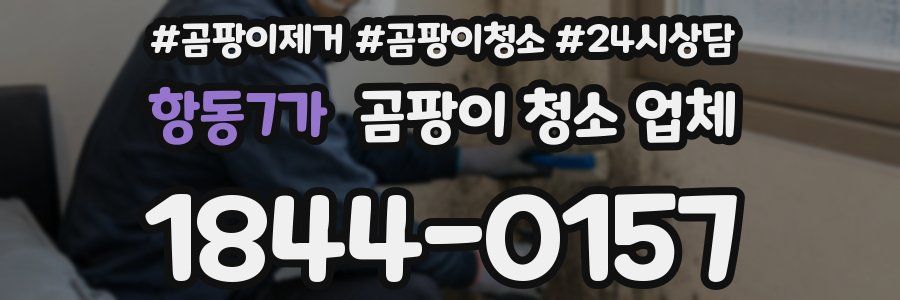 항동7가 곰팡이 청소 업체