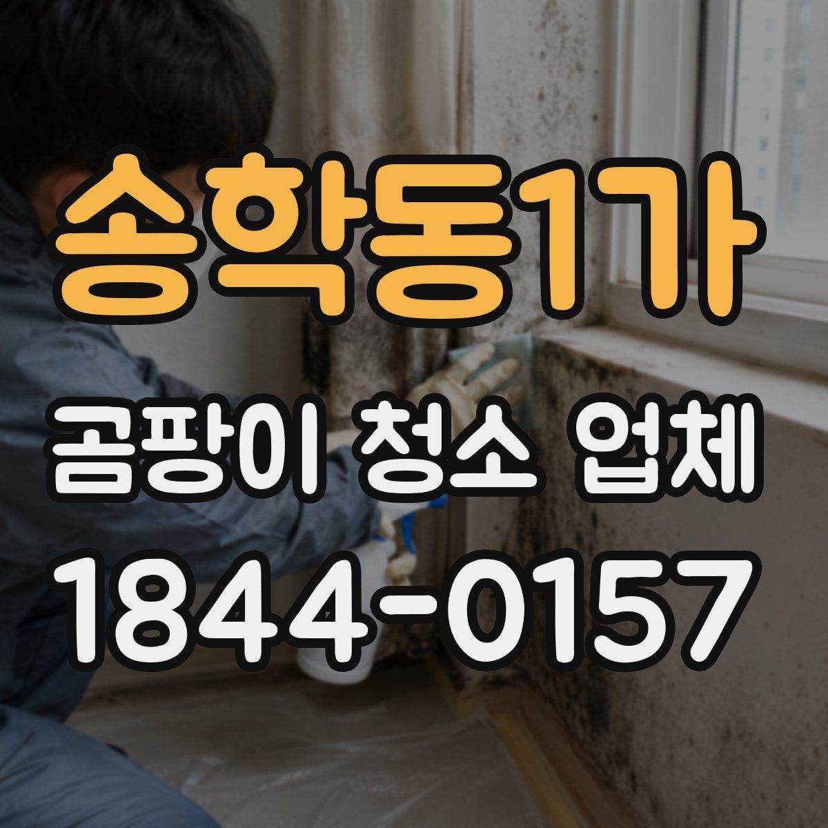 송학동1가 곰팡이 청소 업체
