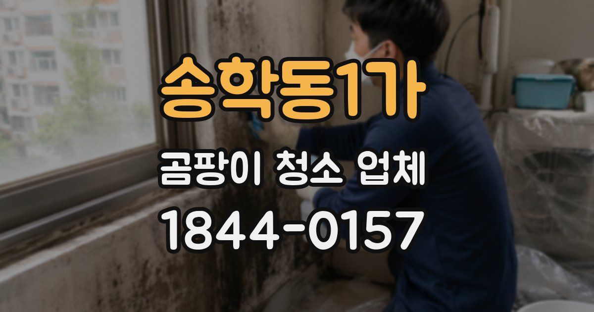 송학동1가 곰팡이 청소 업체