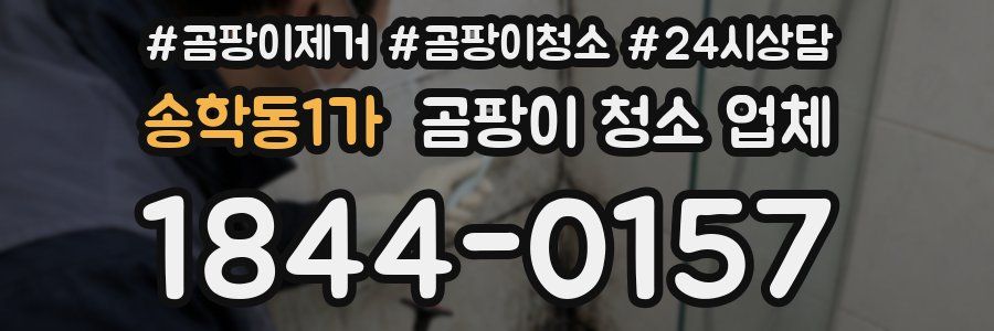 송학동1가 곰팡이 청소 업체