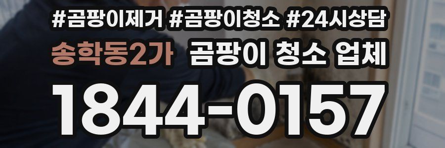 송학동2가 곰팡이 청소 업체