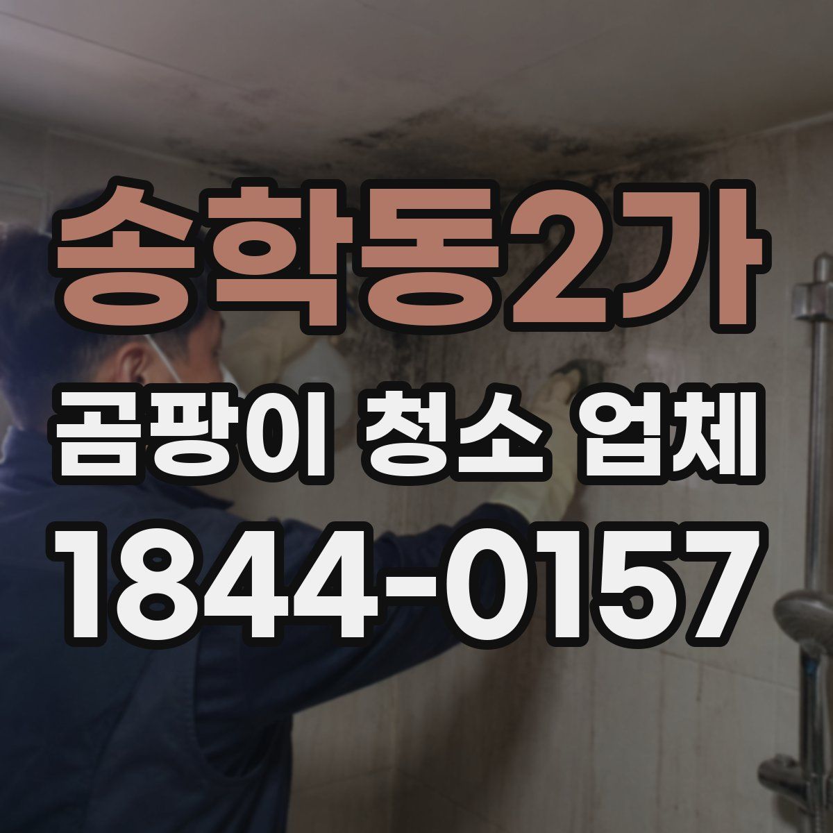 송학동2가 곰팡이 청소 업체