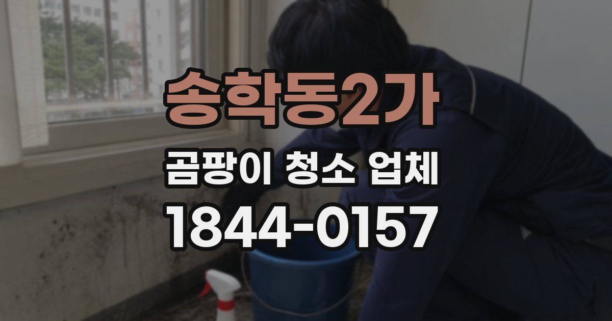 송학동2가 곰팡이 청소 업체